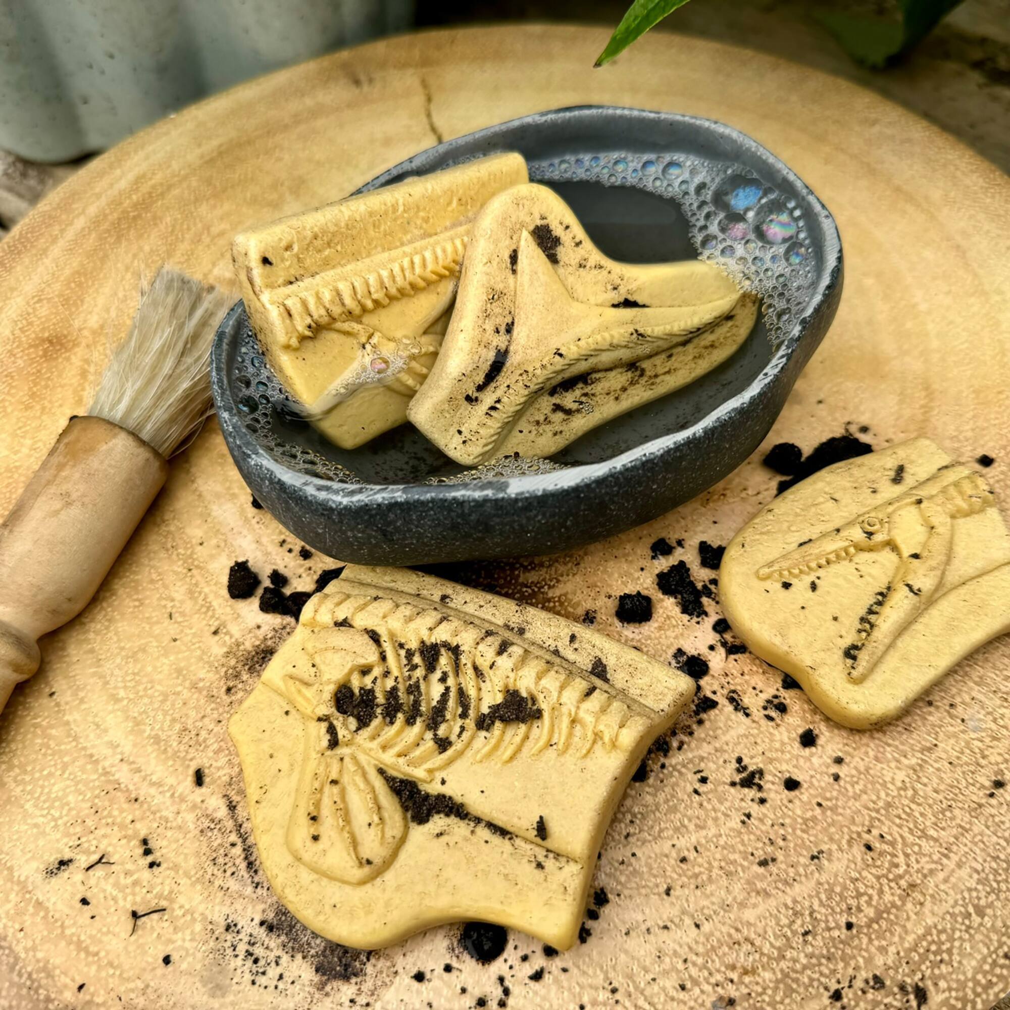Yellow Door Dig & Discover Pliosaur & Stegosaurus Dinosaur Skeletons Set